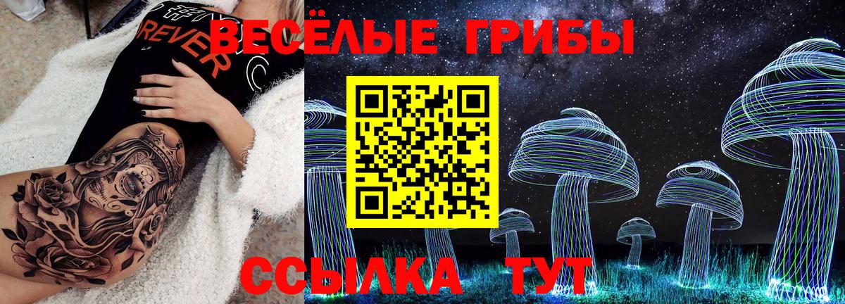 Ревда  Галлюциногенные грибы Cubensis  Вход с VPN 